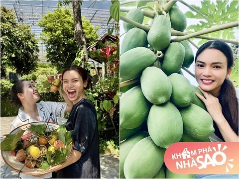 Nữ NSND trẻ nhất Việt Nam sở hữu "biệt phủ" 8.000m2: Sống thảnh thơi trong khu vườn xinh đẹp, trái chín đầy vườn