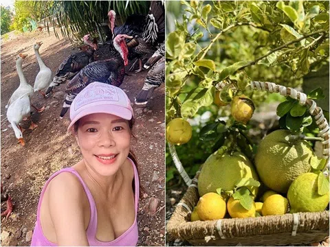 "Phú bà" showbiz Việt khoe nông sản đã mắt trong khu vườn 10.000m2, có giống gà hàng triệu đồng/con