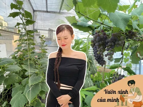 Mẹ đảm làm “nông trại mini” giữa Sài Gòn, thu hoạch mỏi tay không hết, "hái ra tiền" nhờ rau quả mình trồng