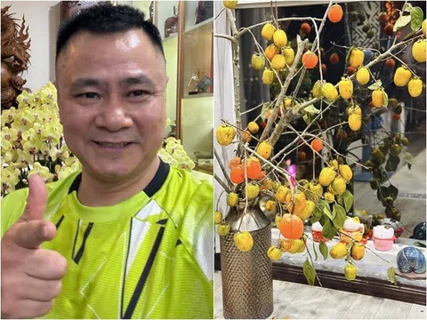 Không chỉ ngon, loại quả mùa thu mang ý nghĩa no đủ được nhà NSND Tự Long, MC VTV mang về trưng đẹp mắt
