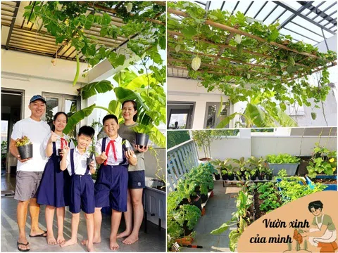 Ông bố 3 con Sài Gòn là kỹ sư IT, trồng rau sân thượng từ nhà đến công ty, mảnh vườn nào cũng xanh tốt
