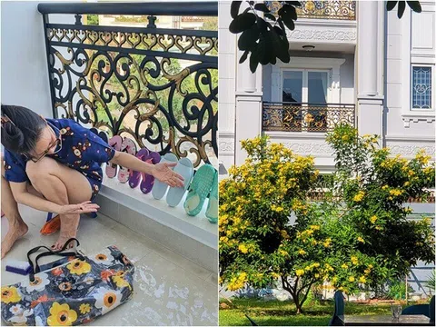 Nữ ca sĩ ở biệt thự 20 tỷ đồng nhưng không biết lái xe: Đi xe đạp bị tông, về nhà mấy giúp việc "rầy"