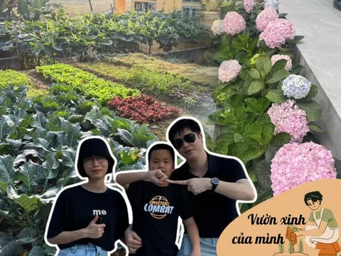 Mẹ đảm Vĩnh Phúc chia sẻ 3 yếu tố giúp mảnh vườn 500m2 ngập tràn rau trái quanh năm