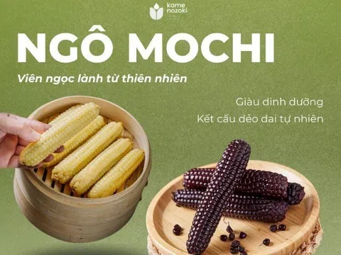 Kame Nozoki và hành trình giữ nguyên bản giống ngô nếp Nhật Bản cổ truyền