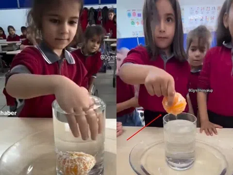 Thử thách lấy quả quýt ra khỏi cốc nước đầy, cả lớp chỉ duy nhất 1 học sinh làm được theo cách không ngờ