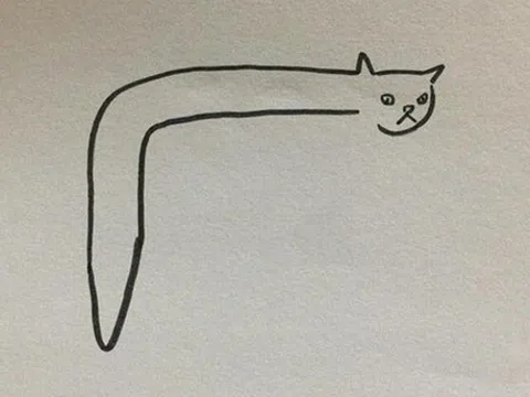 Bức tranh vẽ mèo của bé bị chấm 0 điểm, mẹ đi kiện, đưa ra hình ảnh thực tế khiến cô vội xin lỗi