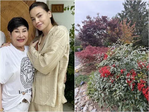 Cảnh tượng trước cửa nhà vợ cũ Đàm Vĩnh Hưng ở Mỹ: Loài cây may mắn "đến từ thiên đường" đổi màu rực rỡ