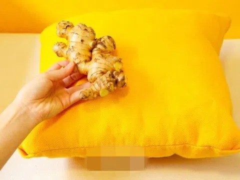 Nhiều người đặt một củ gừng dưới gối mỗi tối trước khi đi ngủ, không ngờ hiệu quả lại tuyệt vời đến vậy
