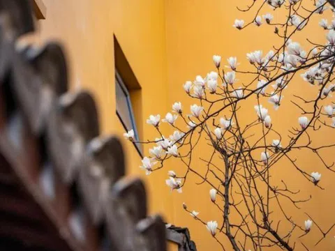 Muốn thay đổi vận mệnh, người khôn ngoan nắm bắt tốt 3 giai đoạn quan trọng này