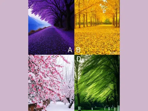 Trắc nghiệm tâm lý: Phong cảnh bạn thích tiết lộ tương lai sau tuổi 50 giàu có hay còn chật vật