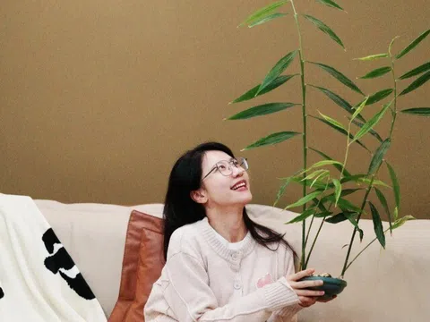 Người thuộc 2 mệnh này trồng gừng trong nhà sẽ hút trọn may mắn, điềm dữ hóa lành, tài lộc đầy nhà