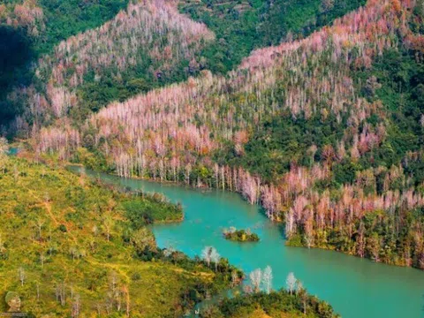 Miền Trung có một “Đà Lạt thứ 2” mê hoặc du khách với khung cảnh rừng lá đỏ như ở Hàn Quốc, thích hợp để đi vào mùa đông