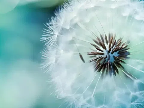 "Mất đi" 3 điều này là điềm báo bạn chuẩn bị đón đại vận, hoàn toàn không mê tín