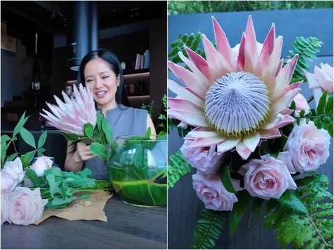 Diva Hồng Nhung cắm loài hoa "khổng lồ" lạ mắt, mang ý nghĩa kiên cường không khuất phục