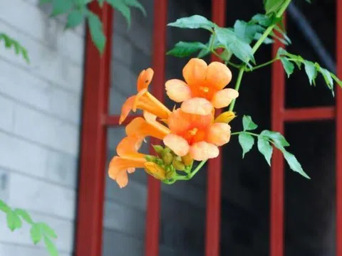 Học cách nói 2 chữ này, cuộc đời sẽ ngày càng suôn sẻ, gặp gỡ những điều tốt đẹp