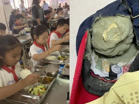Con luôn khen cơm trưa ở trường ngon lắm, mẹ lục cặp sách thấy vật lạ bốc mùi mốc xanh