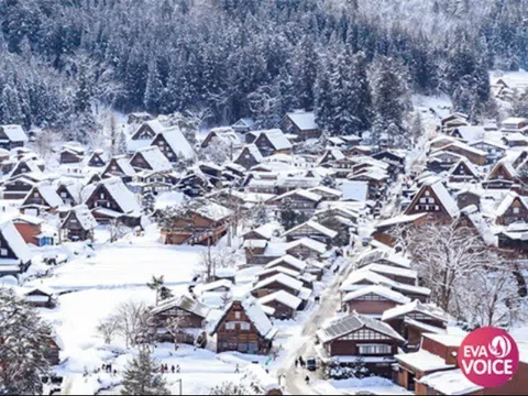 Shirakawa-go – Ngôi làng tuyết phủ mang linh hồn Nhật Bản cổ xưa