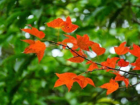 Phụ nữ càng thích làm 3 điều này càng khôn ngoan, từng trải, không hề đơn giản