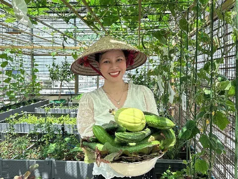 Mẹ đảm Hưng Yên mạnh tay chi 70 triệu làm vườn trên sân thượng: Rau xanh ngập lối, quả đủ loại đủ màu