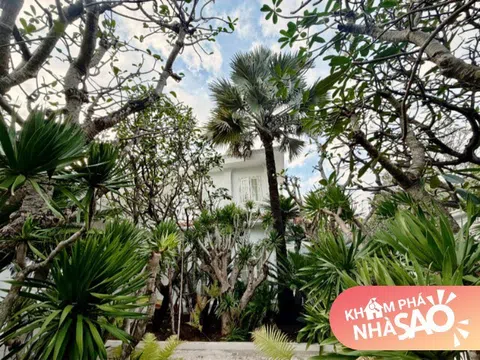 NTK Đỗ Mạnh Cường đưa cả “rừng cây” vào biệt thự 2.000m2, khu vườn trông như Đà Lạt thu nhỏ, tốn đến tiền tỷ?