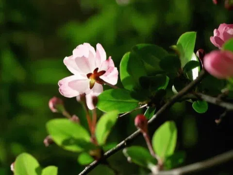 Khi bị người khác hãm hại, đây mới là cách đáp trả tinh tế và khôn ngoan nhất