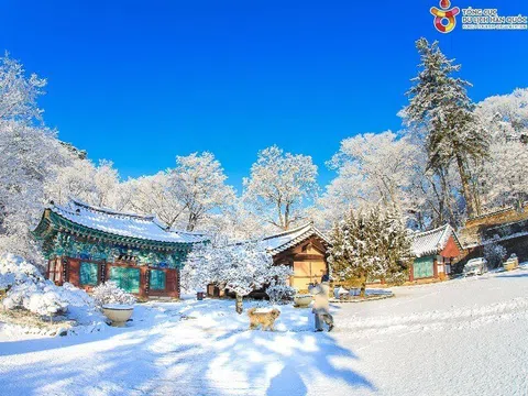 Hàn Quốc: Hành trình gắn kết yêu thương 3 thế hệ