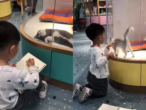 Cô giáo giao bài tập về nhà vẽ tranh thú cưng, tác phẩm của cậu học sinh khiến giáo viên hoang mang, khó chấm điểm