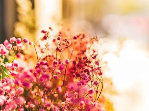 Mối quan hệ tốt đến đâu, người khác tặng bạn 3 món đồ này, tuyệt đối không được nhận