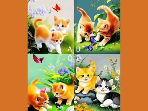 Trắc nghiệm tâm lý: Chọn một cặp mèo theo trực giác và xem con bạn sẽ gặt hái thành công nào?