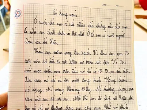 Viết bài văn dài trang giấy tả hàng xóm “đầu chỉ 10 đến 15 sợi tóc”, bé lớp 2 khiến dân tình cười té ghế