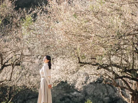 Miền Bắc có điểm đến được giải "Oscar của du lịch" gọi tên 3 lần: Cách Hà Nội 170km, khách đổ xô đến vào mùa đông