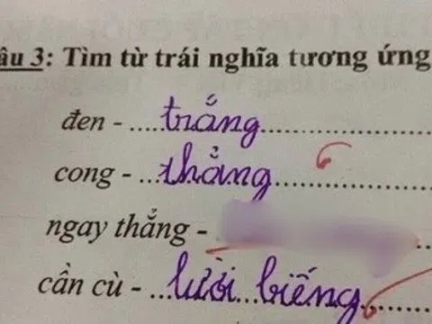 Bài tập tiếng Việt tìm từ trái nghĩa với "ngay thẳng", bé học sinh viết ra một đáp án khiến giáo viên hoang mang