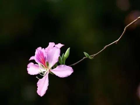 3 thói quen vàng giúp một người ngày càng giàu có