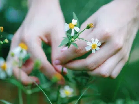 Thấy 3 dấu hiệu này chứng tỏ thành công đang ở rất gần bạn