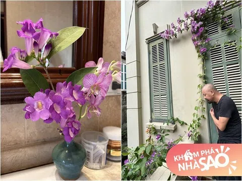 Căn biệt thự đầy hoa tím mộng mơ của nam NSƯT đứng sau sự lung linh của Táo Quân nhiều năm qua