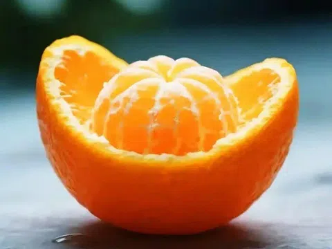 Trắc nghiệm tâm lý: Bạn đã thấy gì từ cái nhìn đầu tiên?