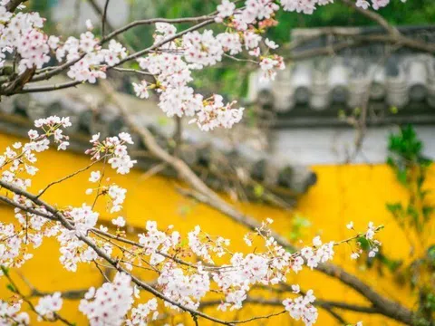 Những người xứng đáng được trân trọng nhất trong cuộc đời này