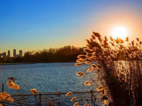 Khai vận đầu xuân: 20 thói quen nhỏ giúp bạn mở ra một năm 2026 rực rỡ và thịnh vượng