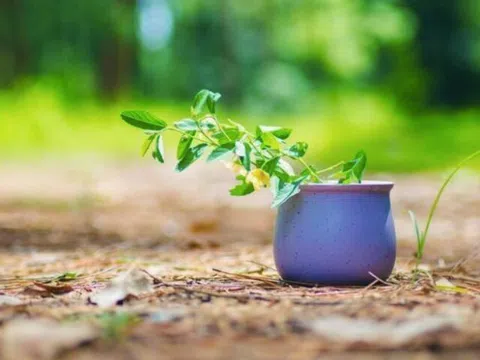 Người mang lại cho bạn 3 cảm giác này, sớm rời xa chính là khôn ngoan nhất!