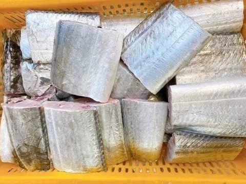 Loại cá thơm ngon béo ngậy nhiều người thích ăn lại "ngậm" thuỷ ngân nhiều nhất chợ Việt, bà bầu càng nên tránh