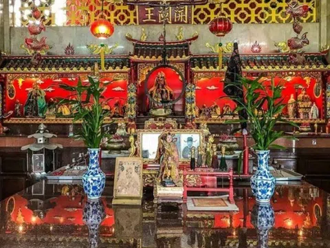 Cuối năm đặt cây này lên bàn thờ, gia chủ làm gì cũng suôn sẻ, sang năm phất lên như diều gặp gió