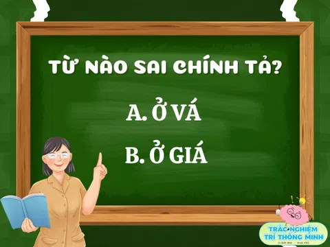 Ở vá hay ở giá mới là từ đúng chính tả? 10 người hết 9 người trả lời sai