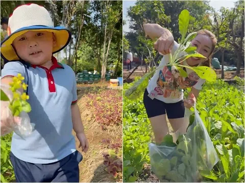 Khu vườn xanh mướt mắt nhà Chi Bảo và vợ trẻ nhìn mà mê, "chủ tịch nhí" khoái chí cùng mẹ thu hoạch