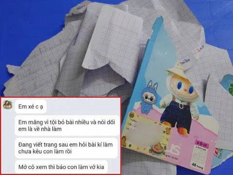 Con tiểu học đến lớp bỏ bài nhiều và nói dối bị cô giáo xé vở, mẹ Việt lên mạng bức xúc gây tranh cãi