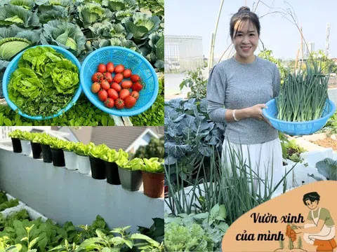 Lo ngại thực phẩm bẩn, mẹ 8X Hà Nội chi 10 triệu biến sân thượng nhà thành khu vườn đẹp xanh không thiếu gì
