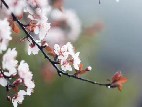 Người thực sự thông minh không đăng 4 thứ này lên mạng xã hội