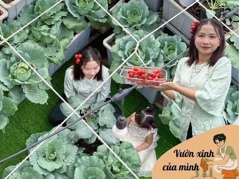 Mẹ đảm TP.HCM chi 30 triệu làm vườn, 4 giờ sáng mỗi ngày lên sân thượng chăm rau
