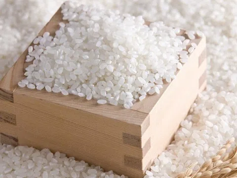 Gạo mua về hay bị mọt, nhét gói này vào để cả năm gạo vẫn thơm ngon, trắng dẻo chẳng lo gì