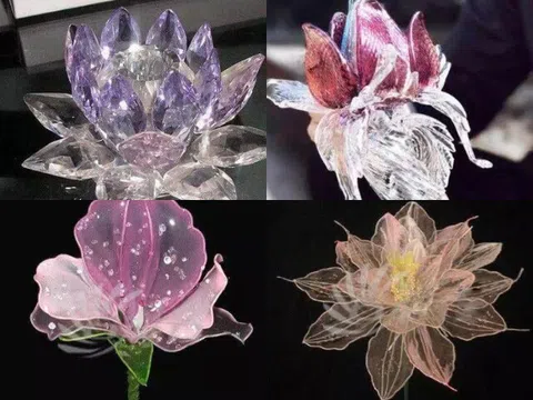 Trắc nghiệm tâm lý: Bạn muốn mang bông hoa may mắn nào về nhà nhất?