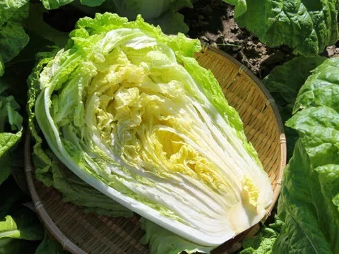 13 loại rau lá mùa Xuân "tốt nhất thế giới", thích hợp trong mâm cơm Tết Bính Ngọ cho cả nhà, giá từ 15.000 đồng/kg